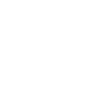 Alpha Wolf Trader